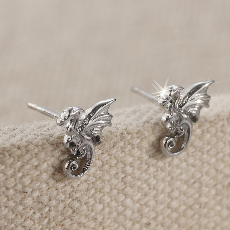أقراط فضية صغيرة بتصميم فريد ع - مراجعة Women'S Accessories Gift Ideas وسعره